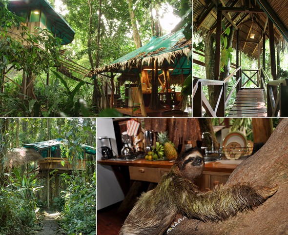 บ้านทาร์ซาน