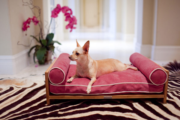 แบบเฟอร์นิเจอร์ 