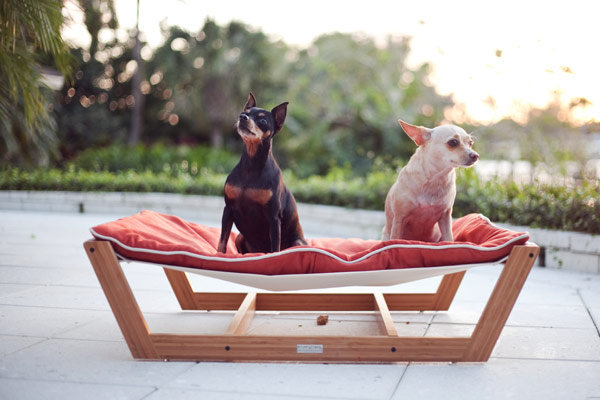 ที่นอนสุนัข