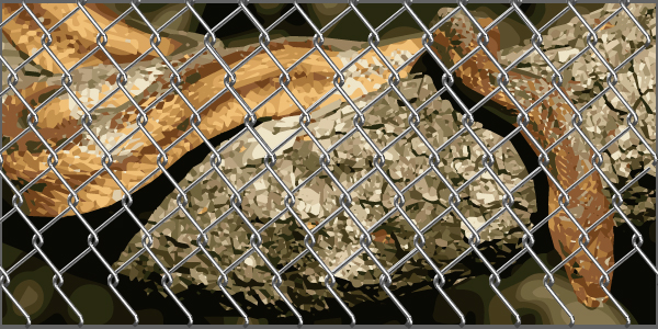 วิธีป้องกันงูเข้าบ้าน