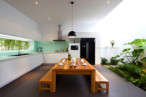 ข้อควรระวัง จัดสวนไว้ข้างในบ้าน