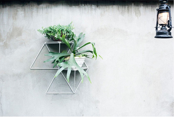 ที่ปลูกต้นไม้ ติดผนัง ที่ปลูกต้นไม้ ติดผนัง