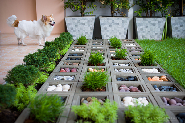 จัดสวนขนาดเล็ก จัดสวนขนาดเล็ก