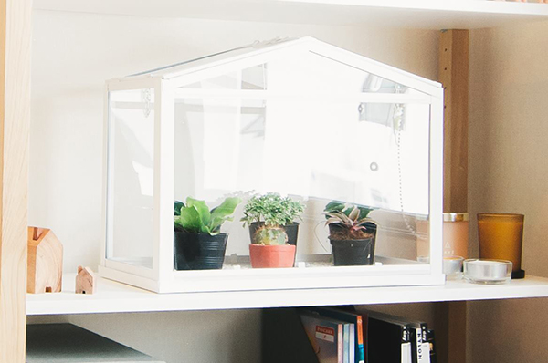 ไอเดียแต่งบ้าน