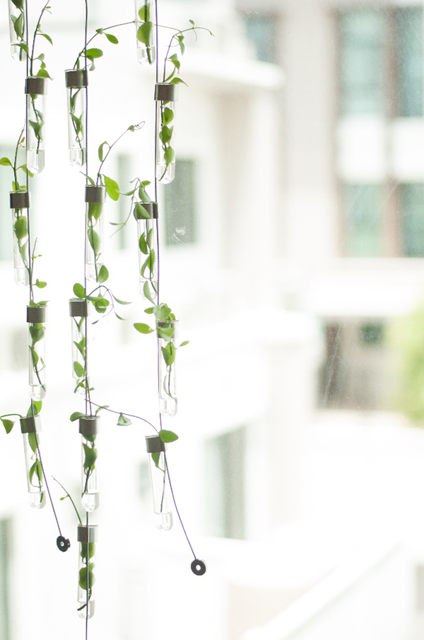 แต่งบ้าน