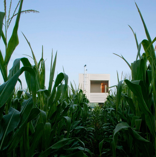 แบบบ้านไร่