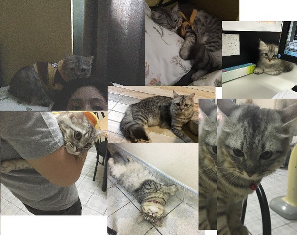 รีโนเวทบ้าน