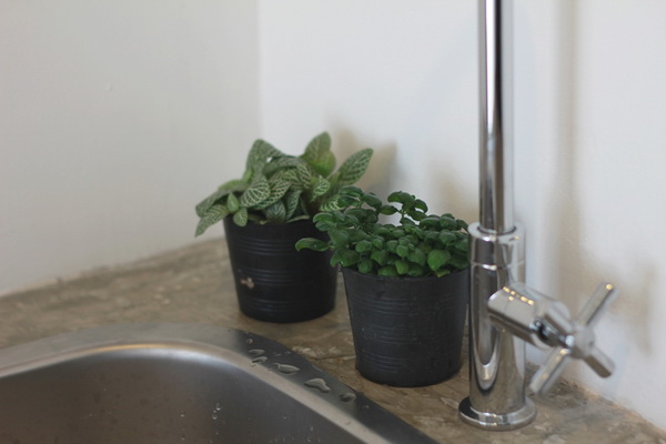 ซิงค์ล้างจาน