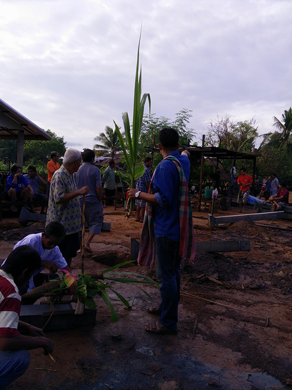 ไอเดียการปลูกบ้าน ไอเดียการปลูกบ้าน