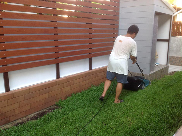 สวนข้างบ้าน สวนข้างบ้าน