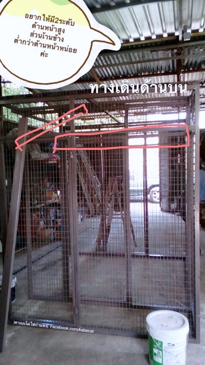 สร้างบ้านให้แมว สร้างบ้านให้แมว