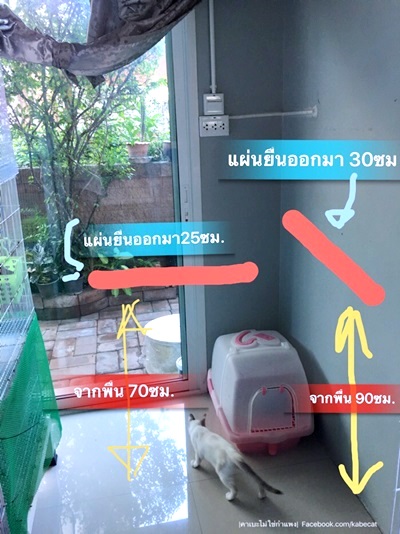 กรงแมว กรงแมว