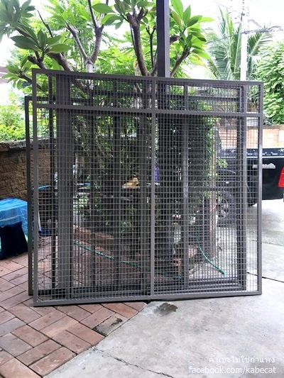 สร้างบ้านแมว สร้างบ้านแมว