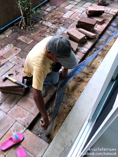 สร้างบ้านให้แมว สร้างบ้านให้แมว