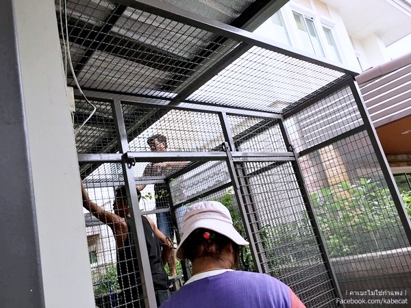 ไิอเดียสร้างบ้านแมว ไิอเดียสร้างบ้านแมว