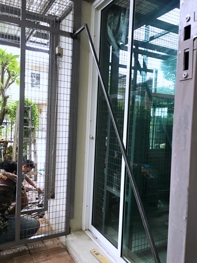 บ้านแมว บ้านแมว