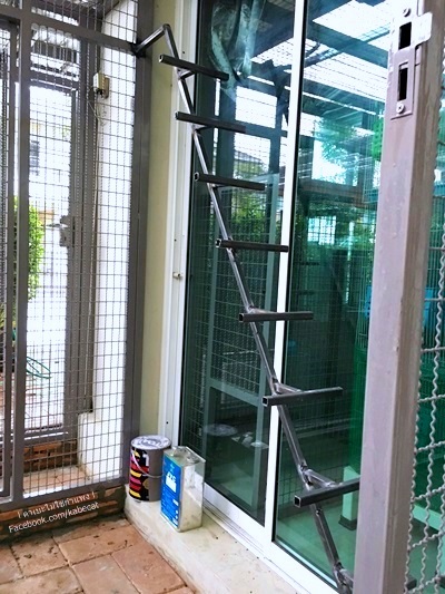 บ้านแมว บ้านแมว