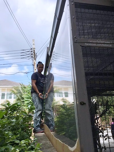 สร้างบ้านให้แมว สร้างบ้านให้แมว