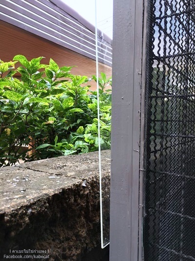 บ้านแมว บ้านแมว