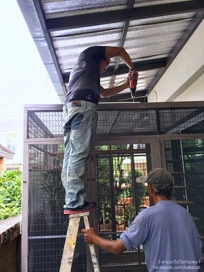 บ้านแมว บ้านแมว