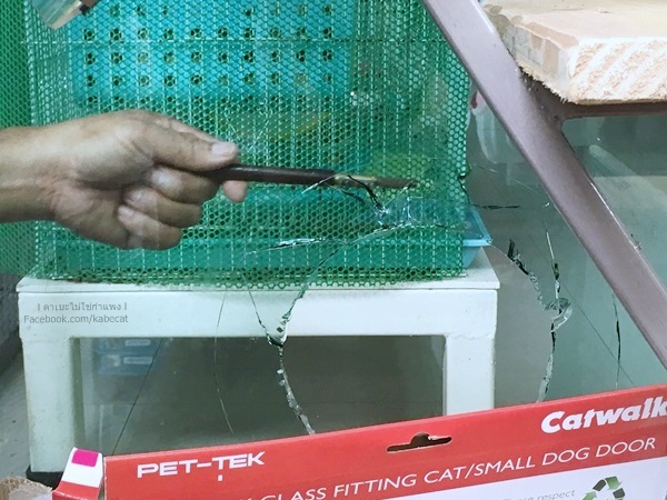 กรงแมว กรงแมว