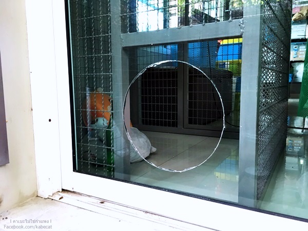 บ้านแมว บ้านแมว