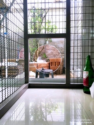 ประตูแมง ประตูแมว