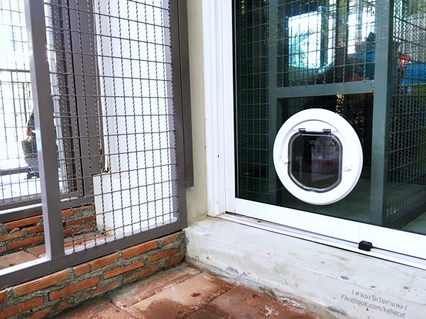 บ้านแมว บ้านแมว