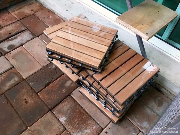 ต่อกรงแมวข้างบ้าน ต่อกรงแมวข้างบ้าน