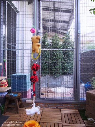 กรงแมว กรงแมว