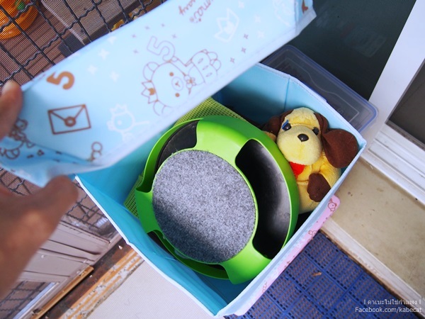 บ้านแมว บ้านแมว