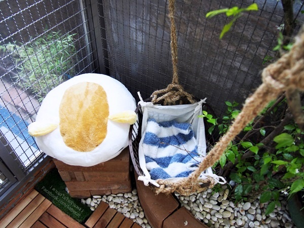 บ้านแมว บ้านแมว