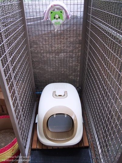 ห้องน้ำแมว ห้องน้ำแมว