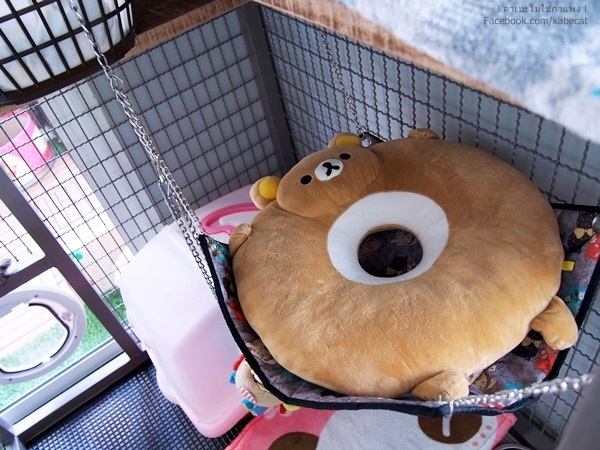 สร้างบ้านแมว สร้างบ้านแมว