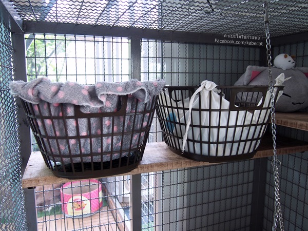 ที่นอนแมว ที่นอนแมว