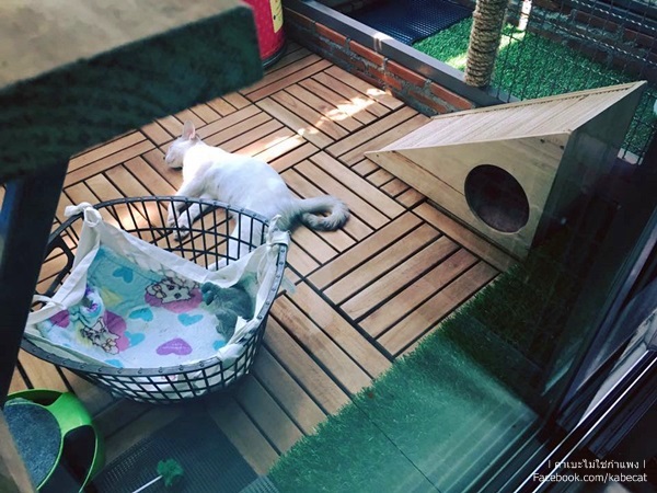กรงแมว กรงแมว