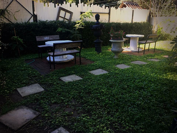 สวนข้างบ้าน