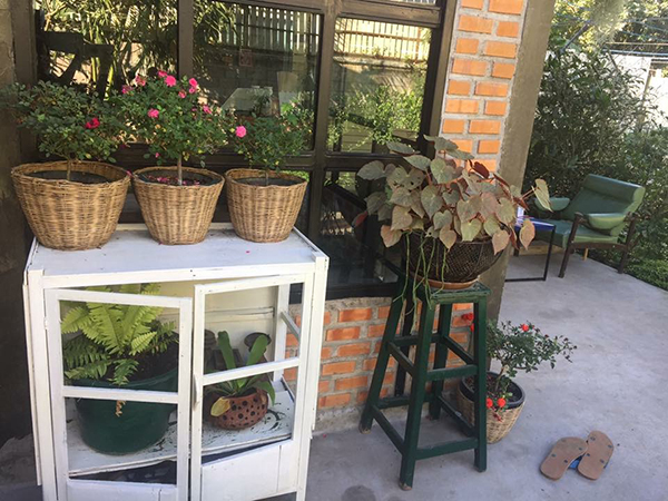 ไอเดียจัดสวน