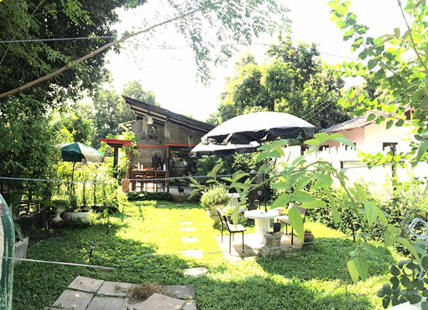 ไอเดียการจัดสวน