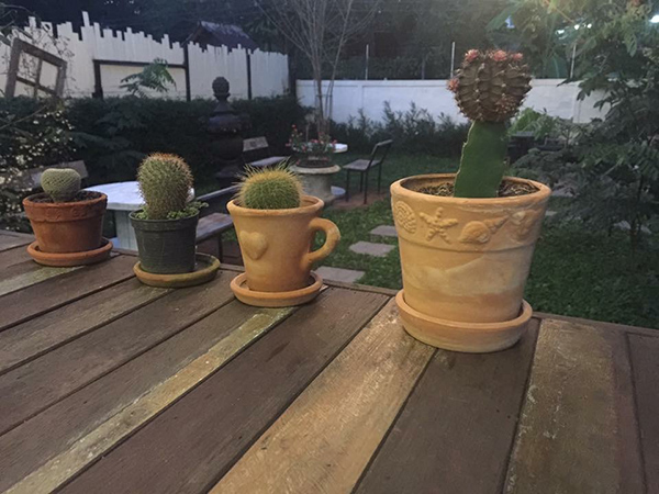 จัดสวนสวย