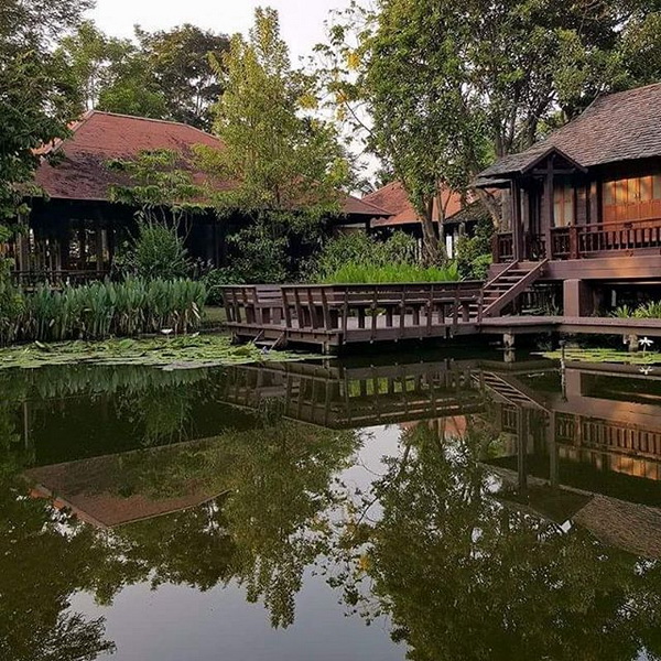 ไอเดียการจัดสวน ไอเดียการจัดสวน