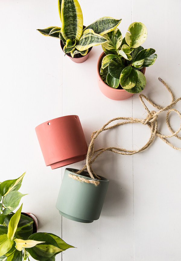 กระถางต้นไม้ กระถางต้นไม้