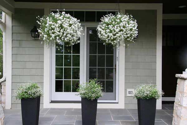 จัดสวนสวย ด้วยกระถาง