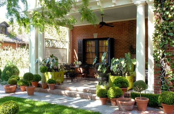 จัดสวนสวย ด้วยกระถาง