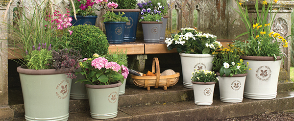 จัดสวนสวย ด้วยกระถาง