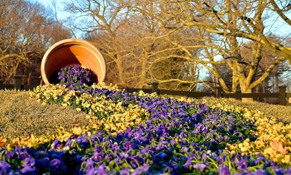 ไอเดียจัดสวนดอกไม้ 