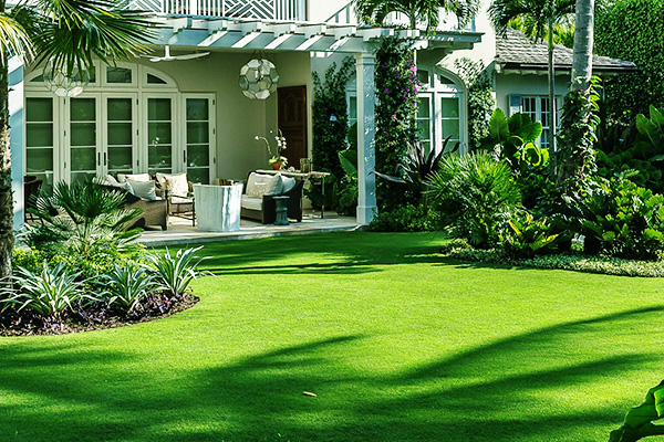 เรื่องน่ารู้ในการตัดหญ้า ชนิดต่างๆ 