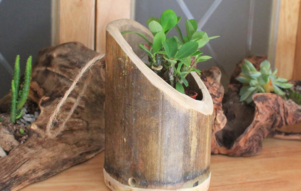 แต่งสวนสวยด้วยไม้ไผ่