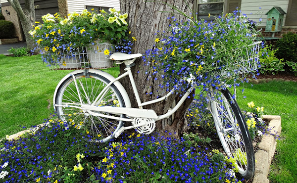 ัจัดสวนสวย ด้วยจักรยานไม่ใช้แล้ว