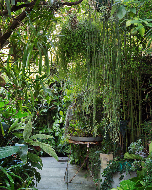 ไอเดียจัดสวน